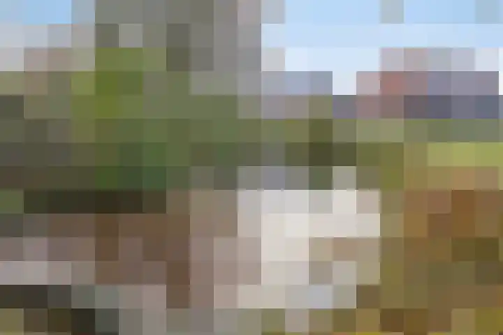 Leerlooierstraat 73 Oss thumbnail 39