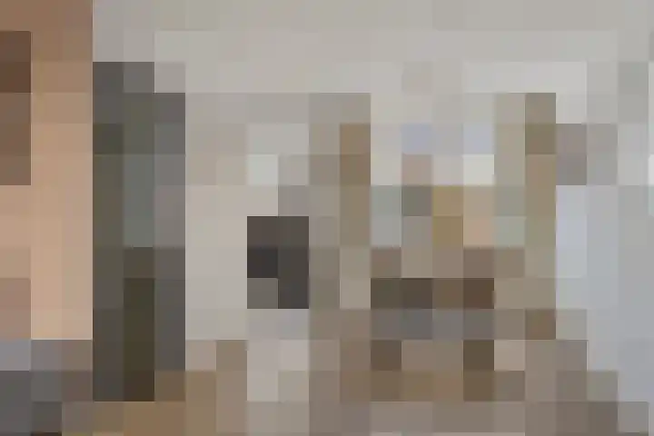 Leerlooierstraat 73 Oss thumbnail 4