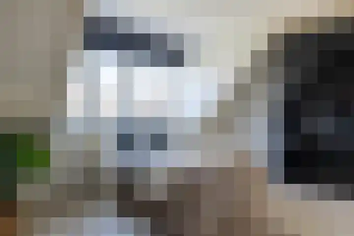 Leermos 10 Reeuwijk thumbnail 30