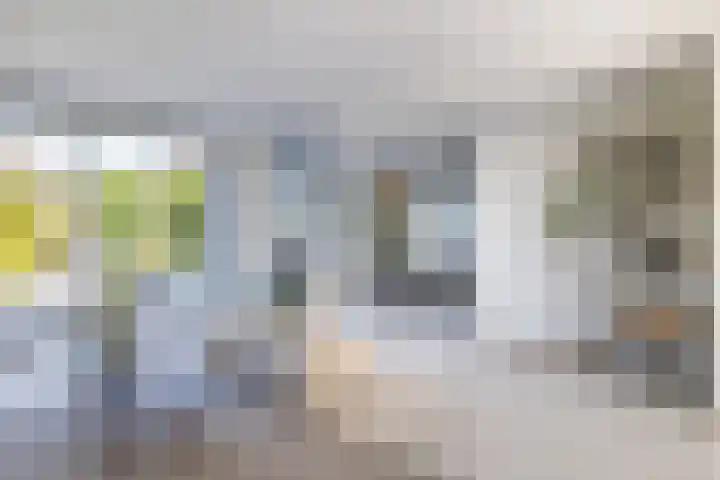 Leermos 10 Reeuwijk thumbnail 6