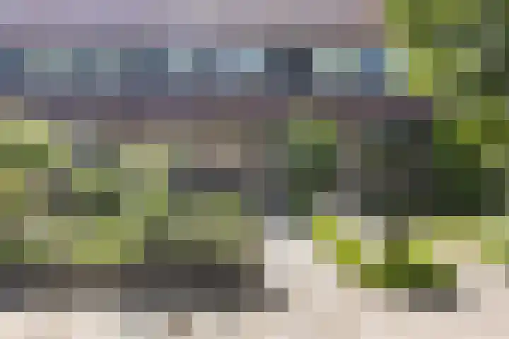 Leerweg 5 A Ulrum thumbnail 17