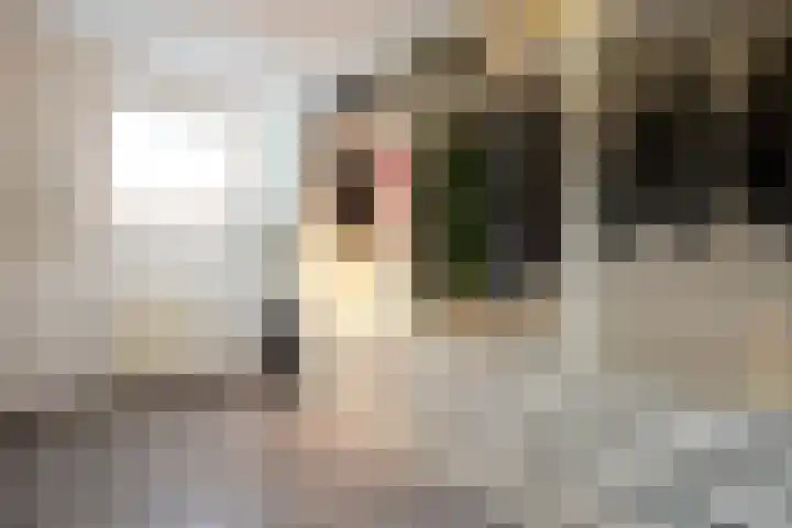 Leesjongenstraat 3 Geleen thumbnail 16