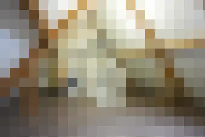 Leesjongenstraat 3 Geleen thumbnail 23