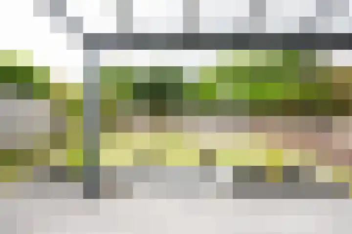 Leesjongenstraat 3 Geleen thumbnail 32