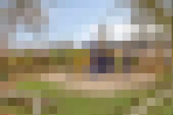 Leestensepad 55 Warnsveld thumbnail 30