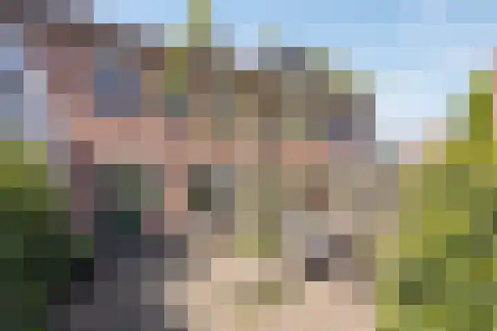 Leestensepad 91 Warnsveld thumbnail 27
