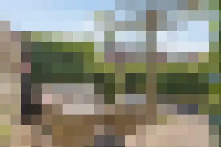 Leestensepad 91 Warnsveld thumbnail 31