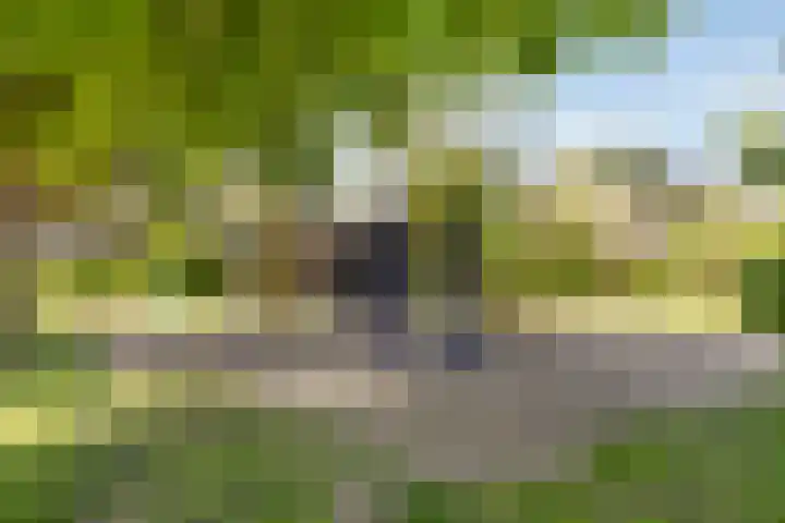 Leestensepad 91 Warnsveld thumbnail 34