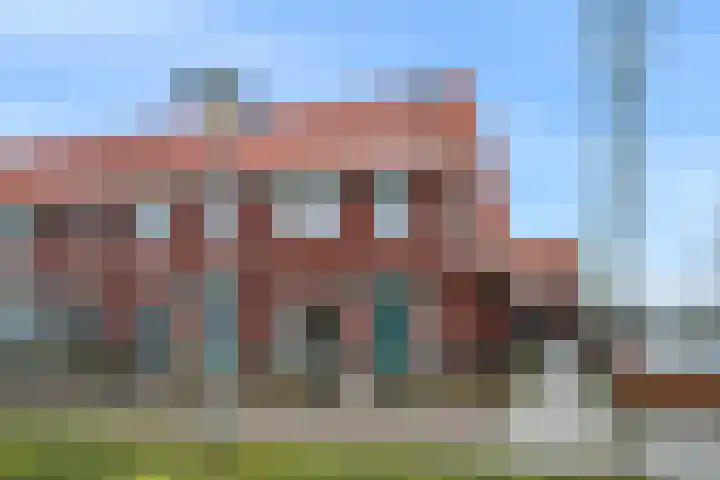 Leeuw 19 in Elst
