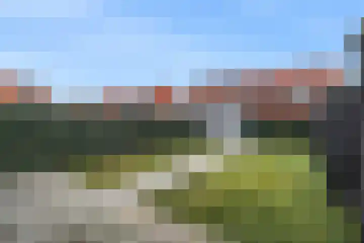 Leeuw 19 Elst thumbnail 20