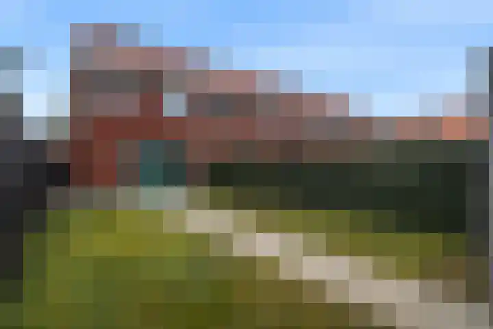 Leeuw 19 Elst thumbnail 23