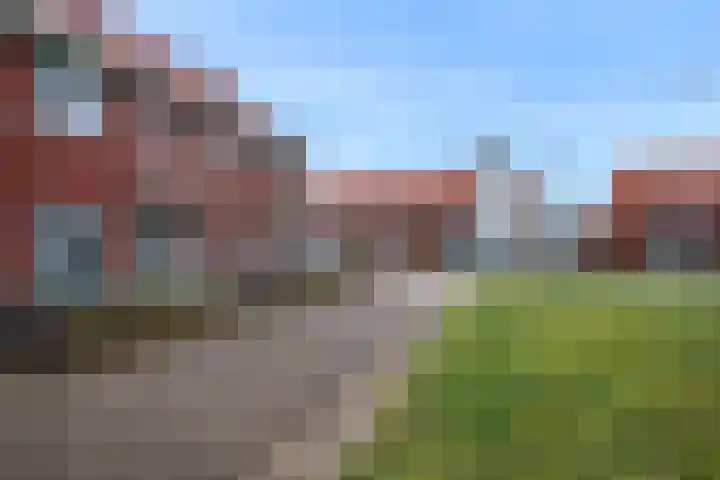 Leeuw 19 Elst thumbnail 25