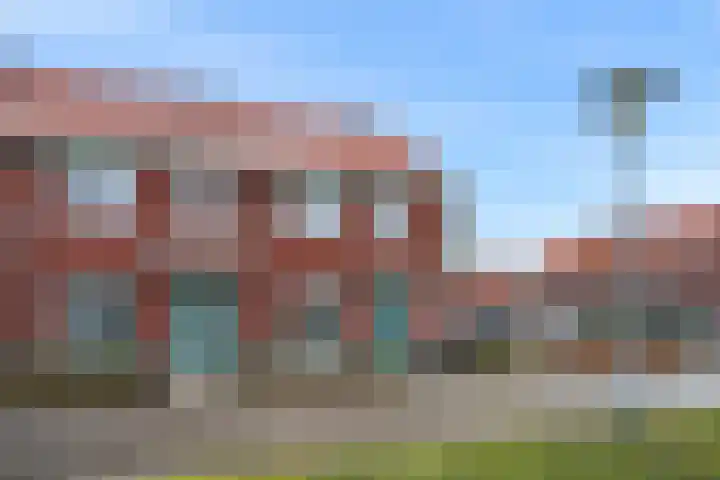 Leeuw 19 Elst thumbnail 26