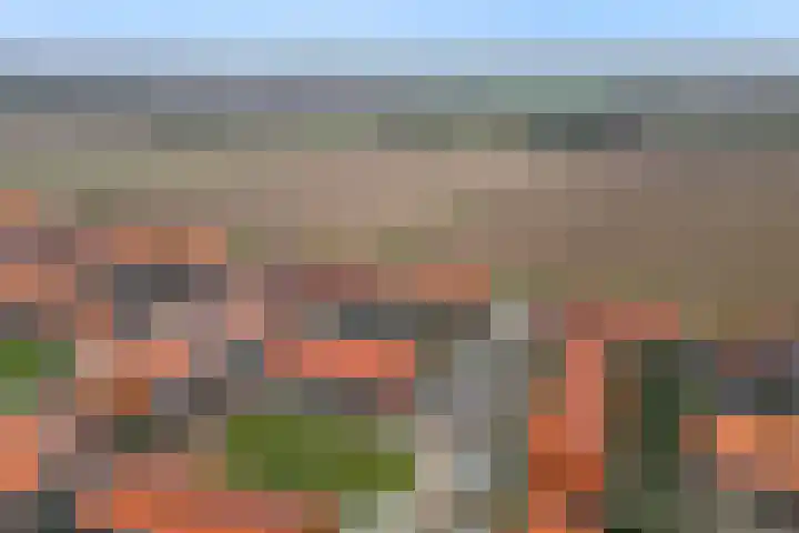 Leeuw 19 Elst thumbnail 30