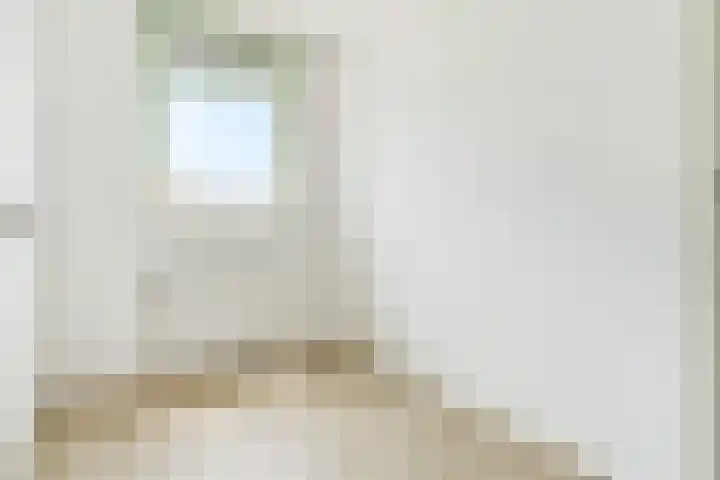 Leeuw 6 Elst thumbnail 13