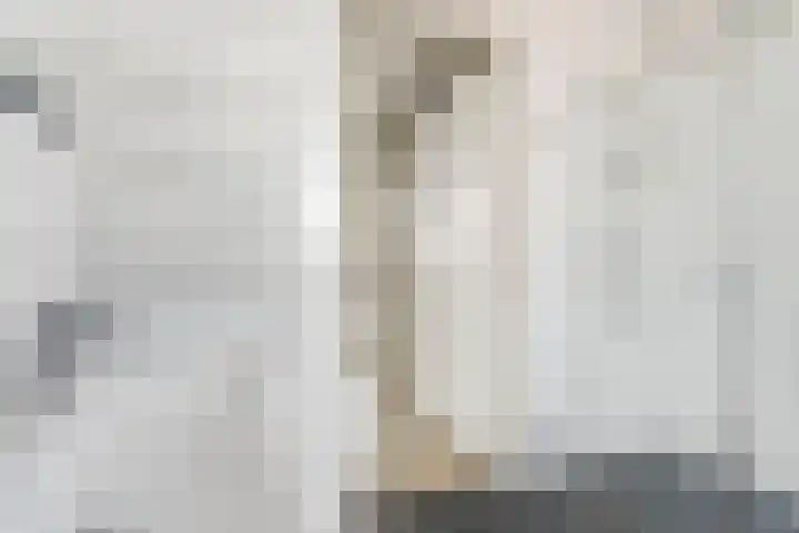 Leeuw 6 Elst thumbnail 18
