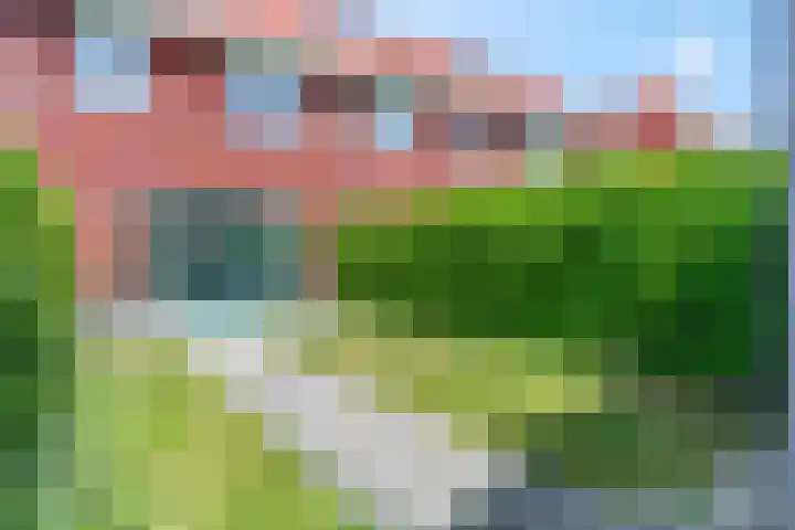 Leeuw 6 Elst thumbnail 23