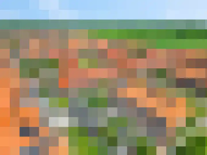 Leeuw 6 Elst thumbnail 33