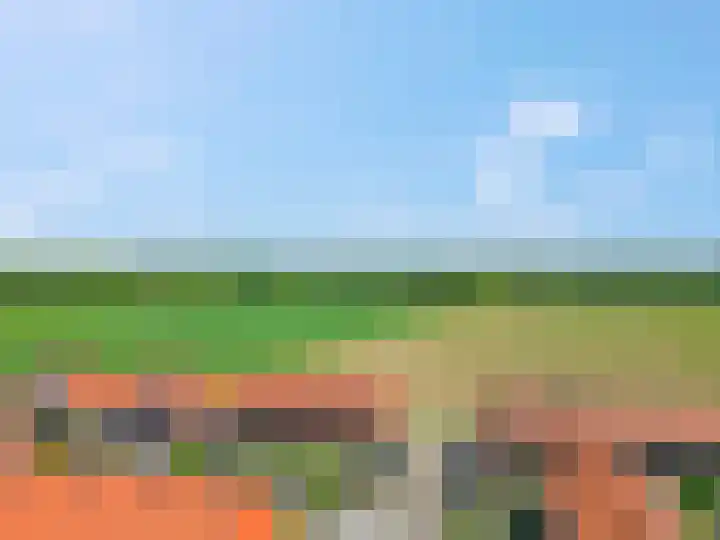 Leeuw 6 Elst thumbnail 34