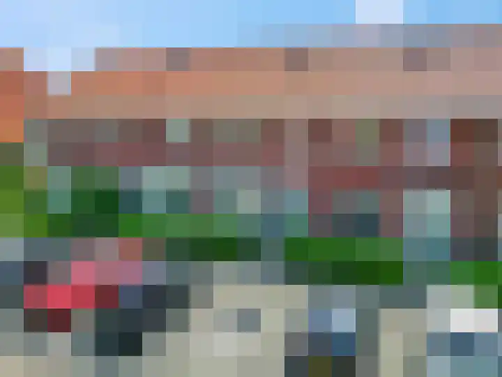 Leeuw 6 Elst thumbnail 40