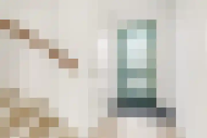 Leeuw 6 Elst thumbnail 8