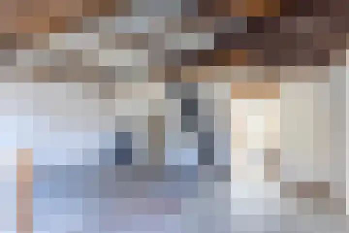 Leeuwarderend 6 Franeker thumbnail 11