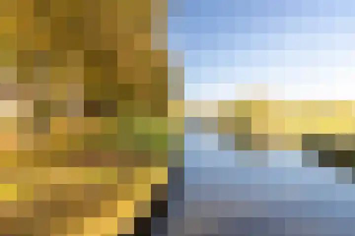 Leeuwarderend 6 Franeker thumbnail 17