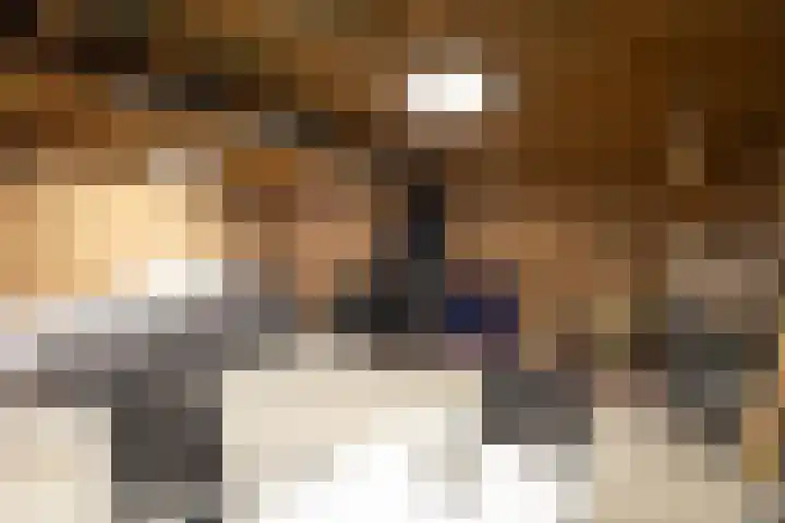 Leeuwarderend 6 Franeker thumbnail 7