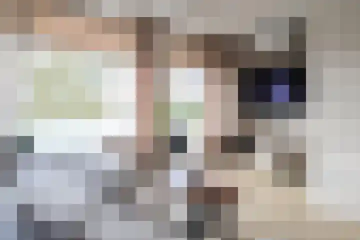 Leeuwarderkade 39 Sneek thumbnail 17