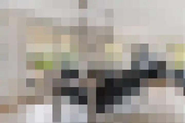 Leeuwebek 22 Nijverdal thumbnail 11