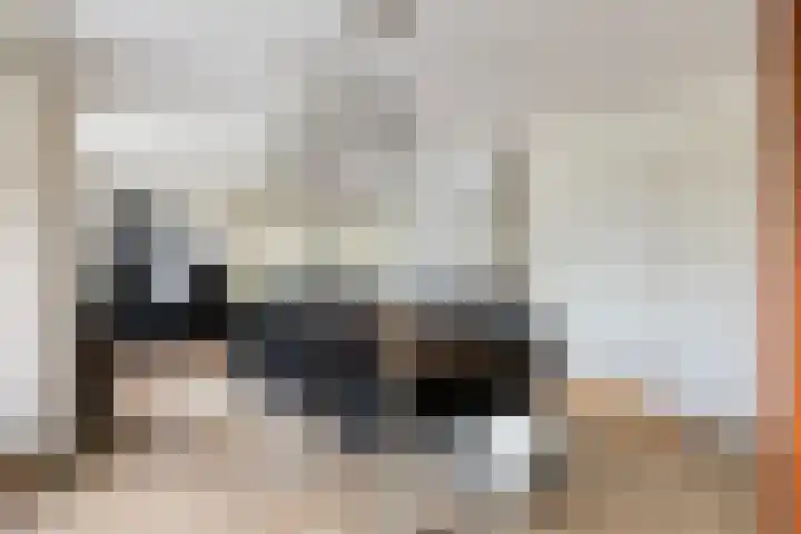 Leeuwebek 22 Nijverdal thumbnail 12