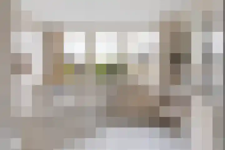 Leeuwebek 22 Nijverdal thumbnail 22