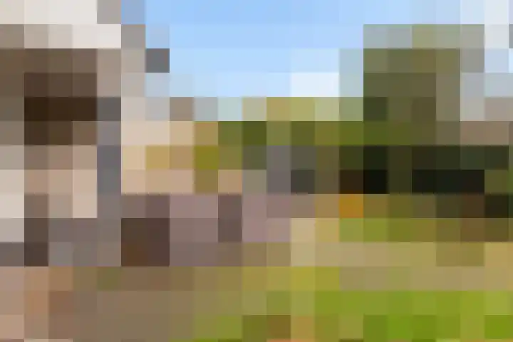 Leeuwebek 22 Nijverdal thumbnail 23