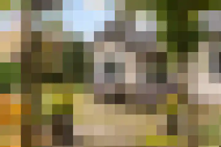 Leeuwebek 22 Nijverdal thumbnail 28