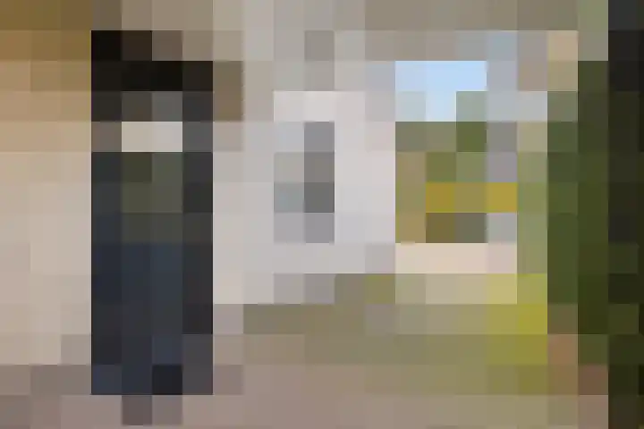 Leeuwebek 22 Nijverdal thumbnail 31