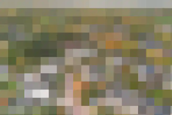Leeuwebek 22 Nijverdal thumbnail 33