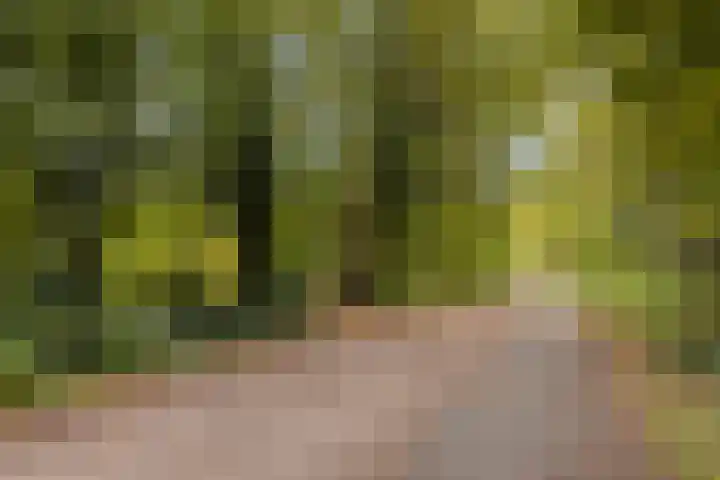 Leeuwebek 22 Nijverdal thumbnail 35