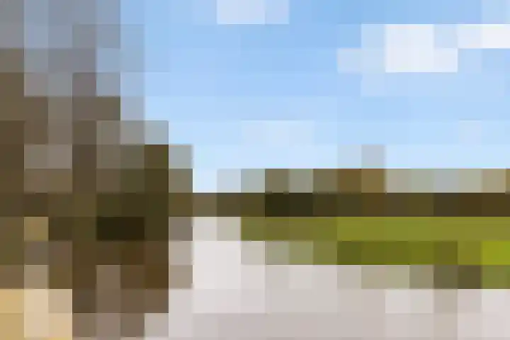 Leeuwebek 22 Nijverdal thumbnail 36