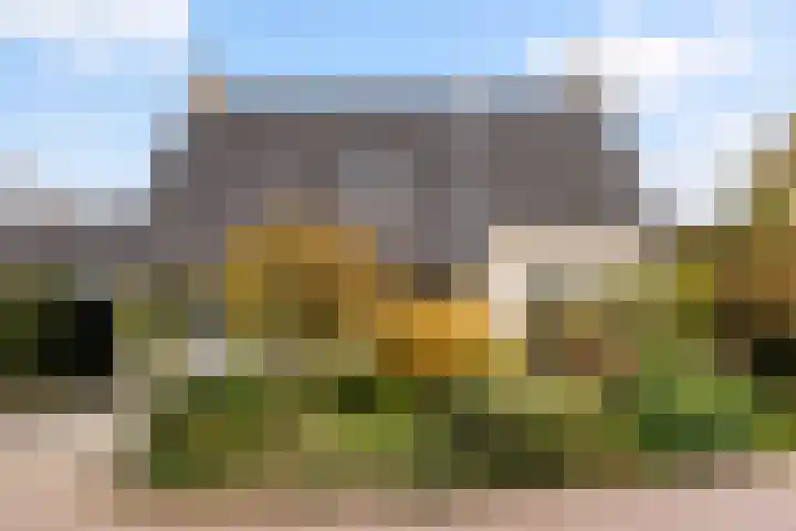 Leeuwebek 22 Nijverdal thumbnail 5