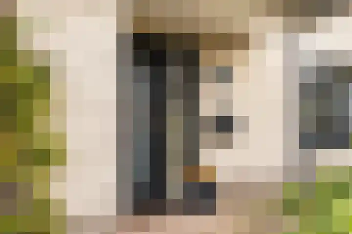 Leeuwebek 22 Nijverdal thumbnail 6
