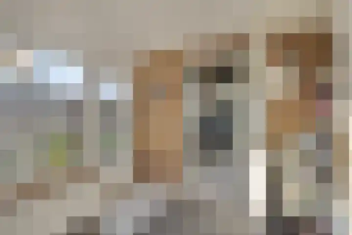 Leeuwebekstraat 11 Wijchen thumbnail 13