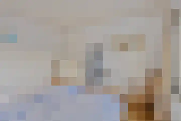 Leeuwebekstraat 11 Wijchen thumbnail 17
