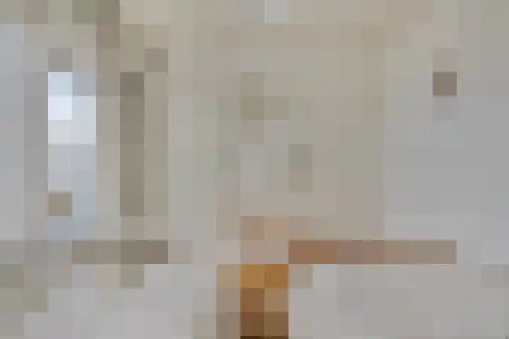 Leeuwebekstraat 11 Wijchen thumbnail 19