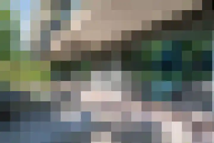 Leeuwenwerf 126 Amsterdam thumbnail 26
