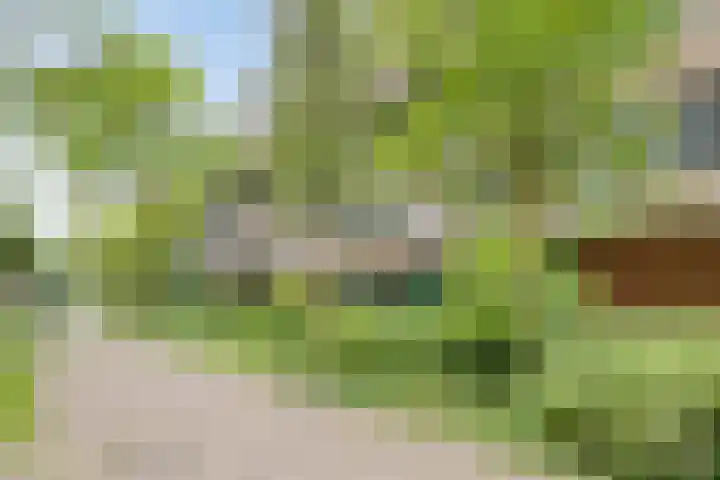 Leeuwenwerf 129 Amsterdam thumbnail 14