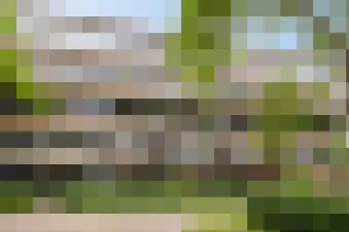Leeuwenwerf 129 Amsterdam thumbnail 15