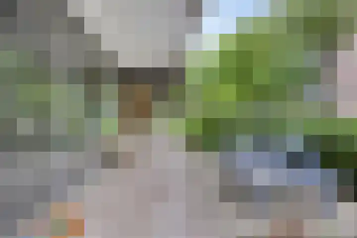 Leeuwenwerf 129 Amsterdam thumbnail 4
