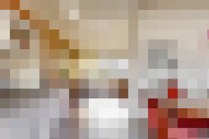 Leeuwerik 10 Castricum thumbnail 11