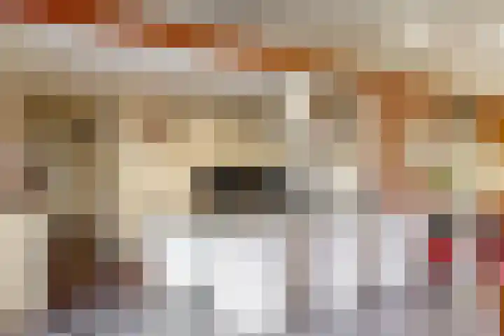 Leeuwerik 10 Castricum thumbnail 12