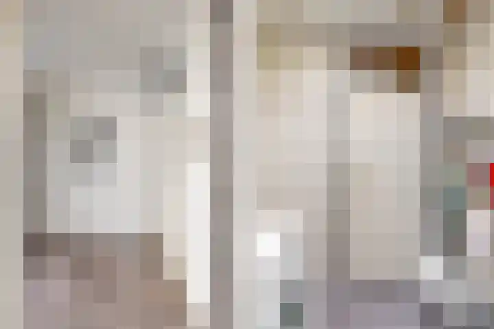 Leeuwerik 10 Castricum thumbnail 18